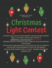 Holiday light flyer