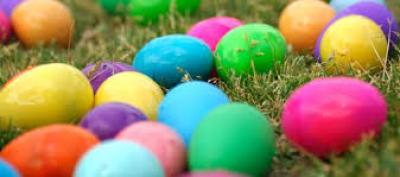 Photo of colored eggs in grass for egg hunt.