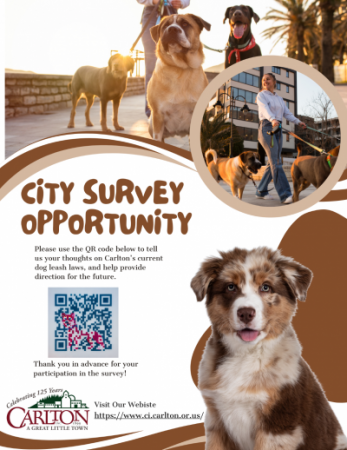 Dog park survey