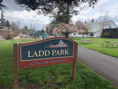 upper park