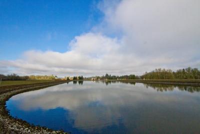wastewater_lagoon.jpg c
