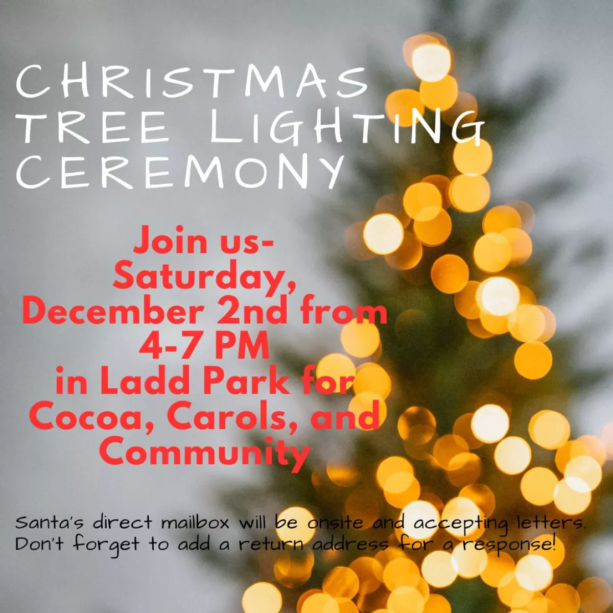 Tree Lighting
